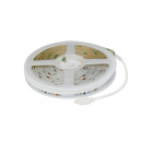 Striscia Led Cob RGBW 24V 5mt 720
