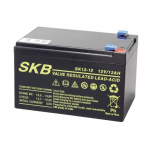 Batteria al piombo 12V 12Ah